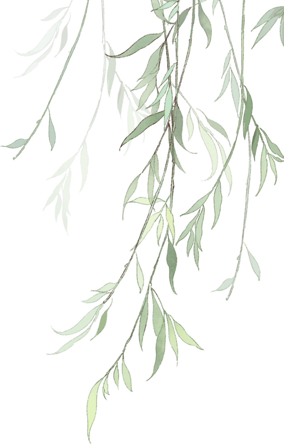 全国第一这盘大棋广东下了两千年