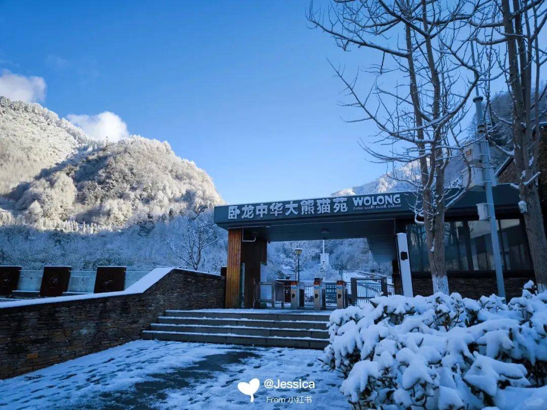 阿坝咋个耍网友有话说卧龙中华大熊猫苑神树坪基地