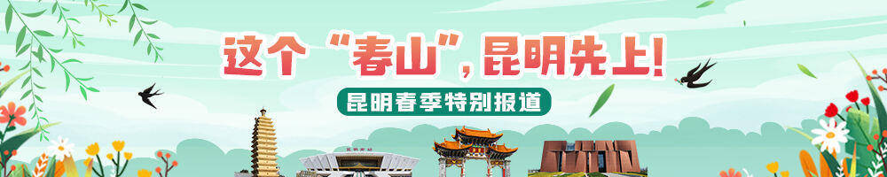 来云南赴一场鲜花之旅人民日报海外版头条关注昆明花卉旅游