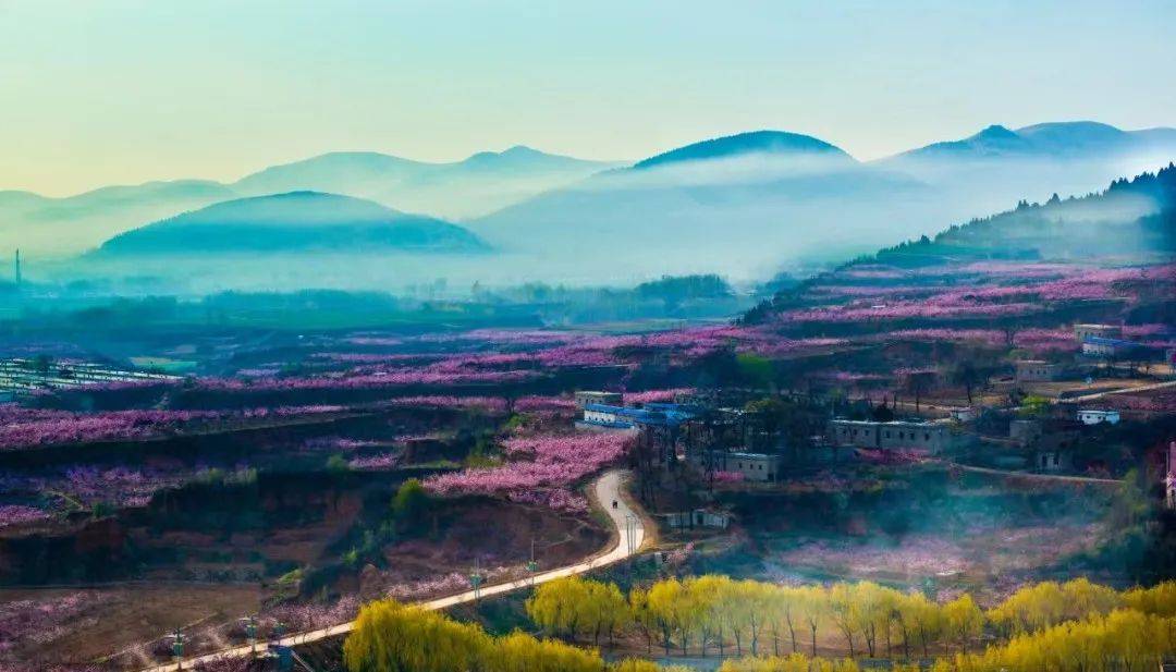 第23届中国肥城桃花节于2024年3月25日至4月20日举行,刘台桃花源景区