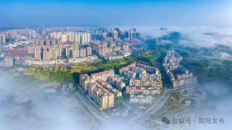 "双东简"共邀企业游世园_发展_联动_简阳市