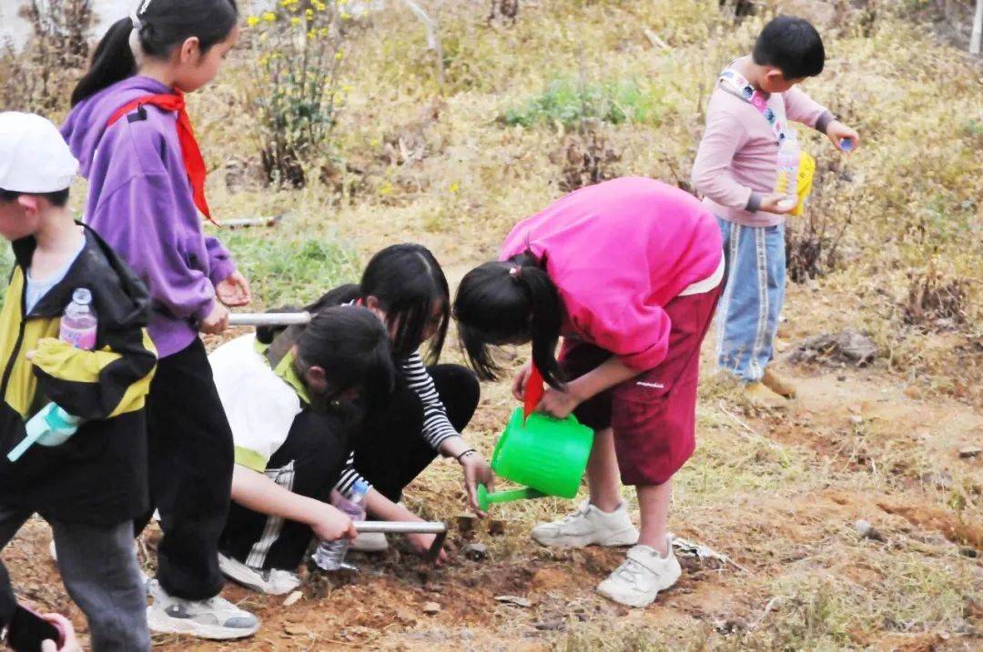 此外,当天还有不少研学团队来到东白湖镇开展志愿活动.