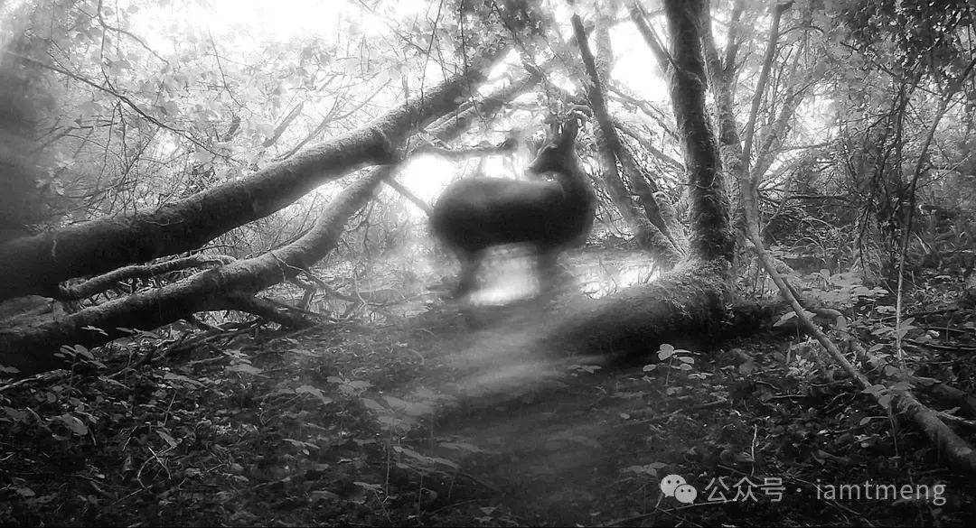 2024德国奥伯豪森国际短片电影节45部入围作品名单公布国际竞赛