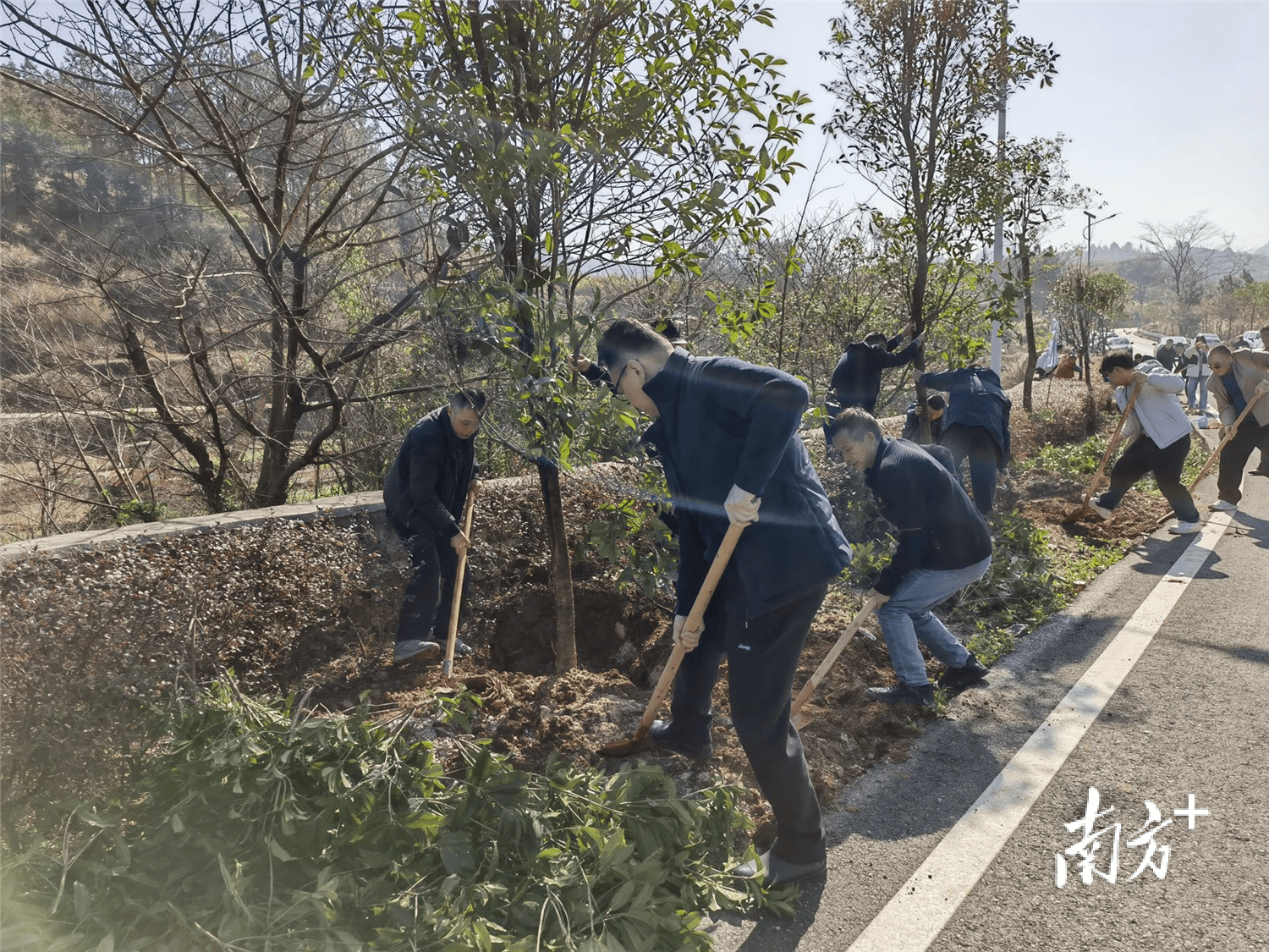 不断提升公路绿化品质和“颜值”｜阳山扎实推进绿美阳山生态建设_工作_交通_乡村