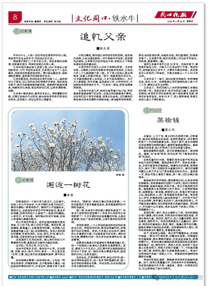 晨之风《蒸榆钱》今日《周口晚报》刊登_母亲_榆树_时光