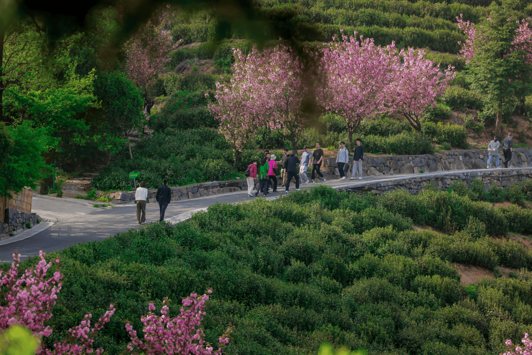 涉及航坞山郊野公园2035年完成市区全部郊野公园先行区建设