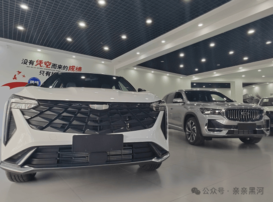 供求良性互动,"冰舞之约"利企惠民_搜狐汽车