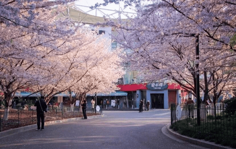 以爱之名用骑行拥抱虹口魅力虹口骑乐无穷