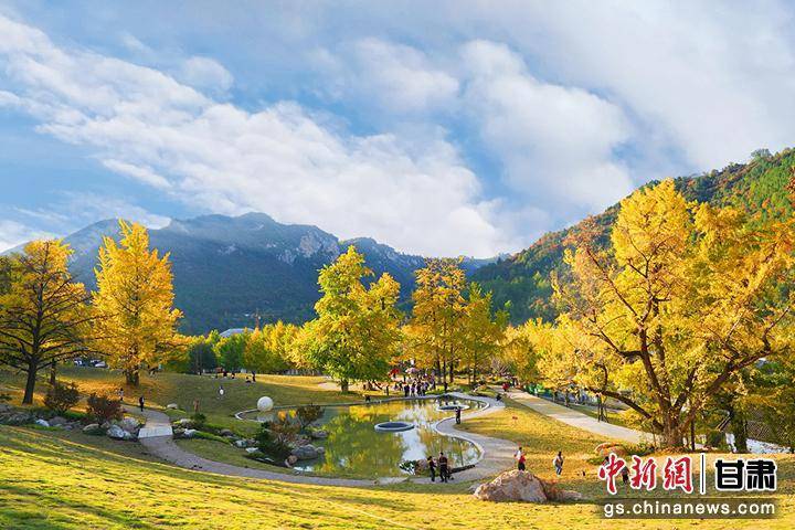 陇南徽县构建"大景区 全域游"新格局 打造"文旅名县"_旅游_城乡村