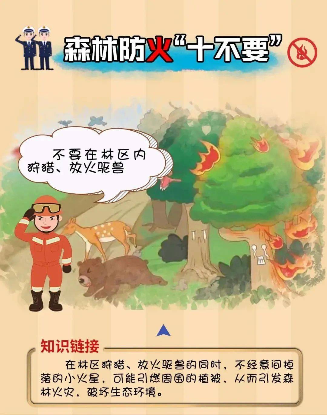 肇庆人注意这些森林防火知识请牢记