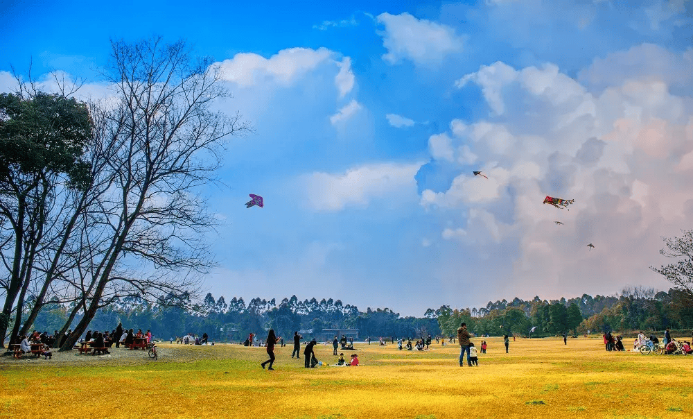 爱上新津的n个理由