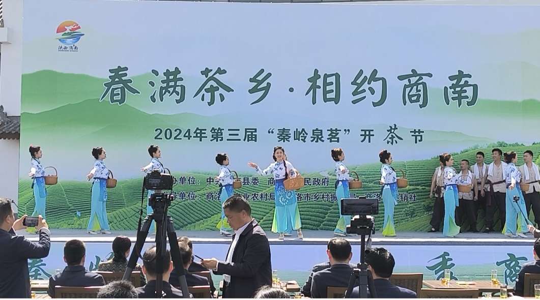 以茶为媒共品茶香2024年春满茶乡相约商南第三届秦岭泉茗开茶节举行