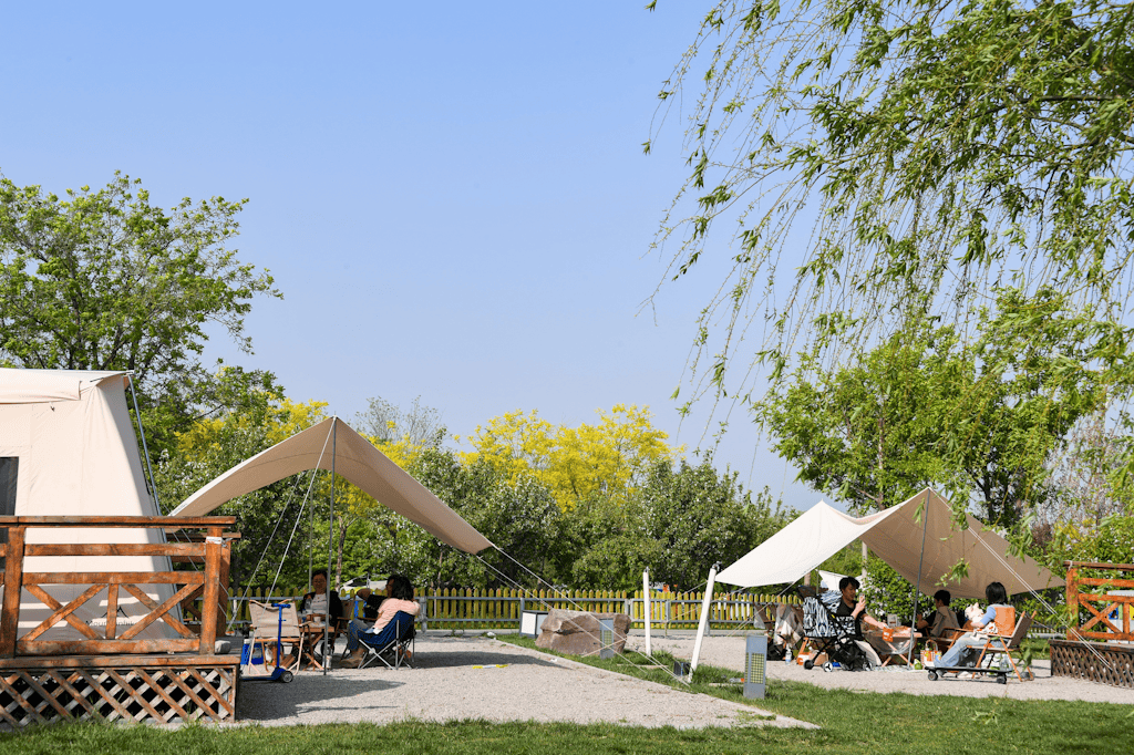 解锁春日浪漫属于生态城春天的十件小事