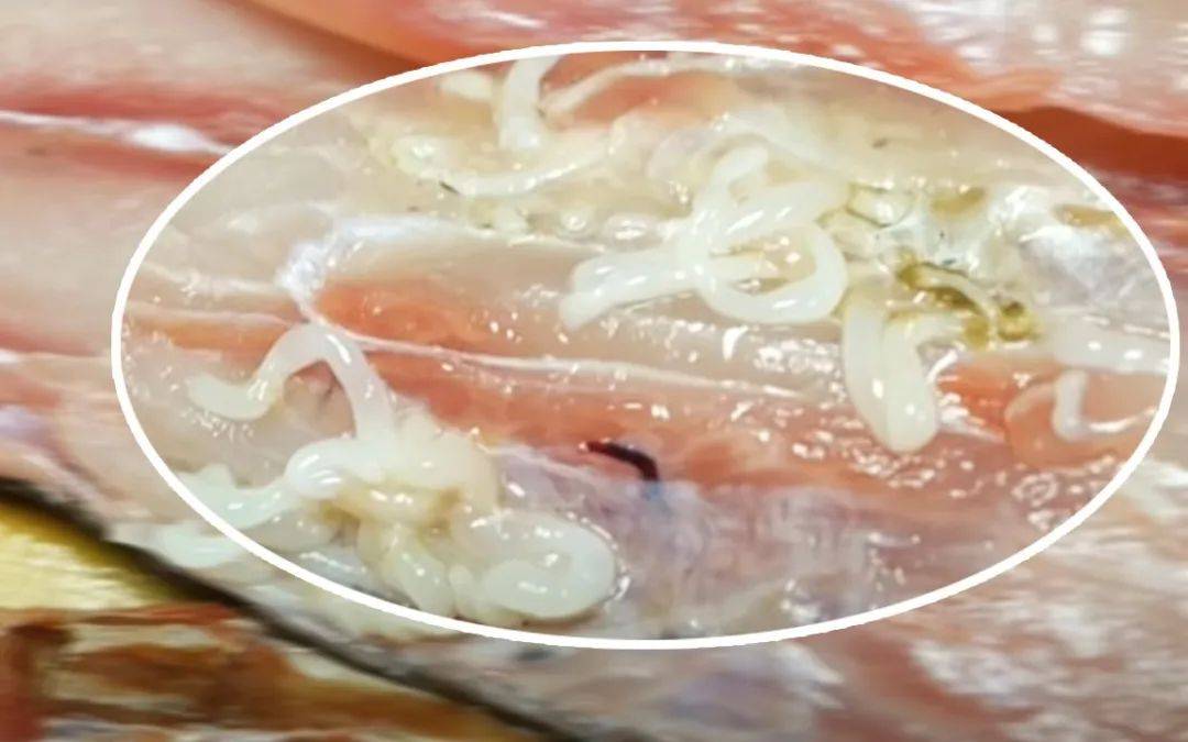 男子崩溃:再也不敢了……医生:这种伤害不可逆!_寄生虫_粒细胞_酸性