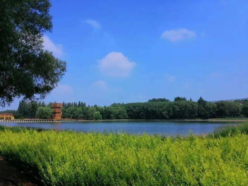基地祁县昌源河森林康养基地主要依托山西昌源河国家湿地公园建设而成