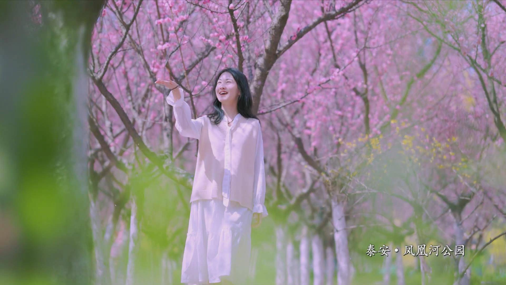 凤凰河畔 繁花满枝_广播_泰安市_崔焕丽