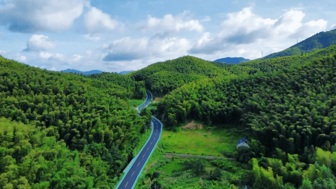 中国交通报头版聚焦广德竹乡画廊盘活乡村美丽经济