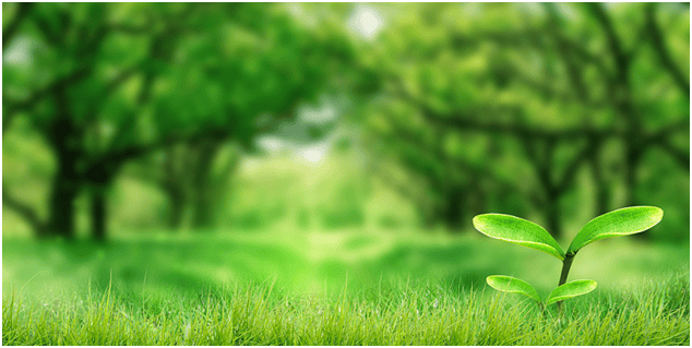 防治骨质疏松从春天开始