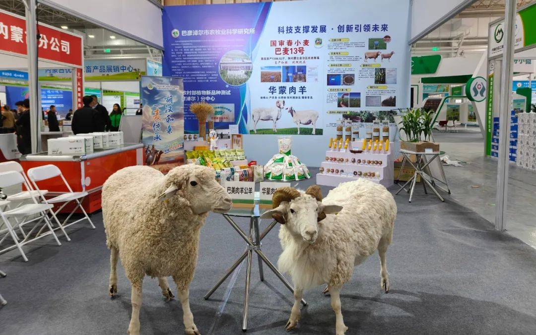 巴彦淖尔市农科所多项科技成果亮相内蒙古国际农博会