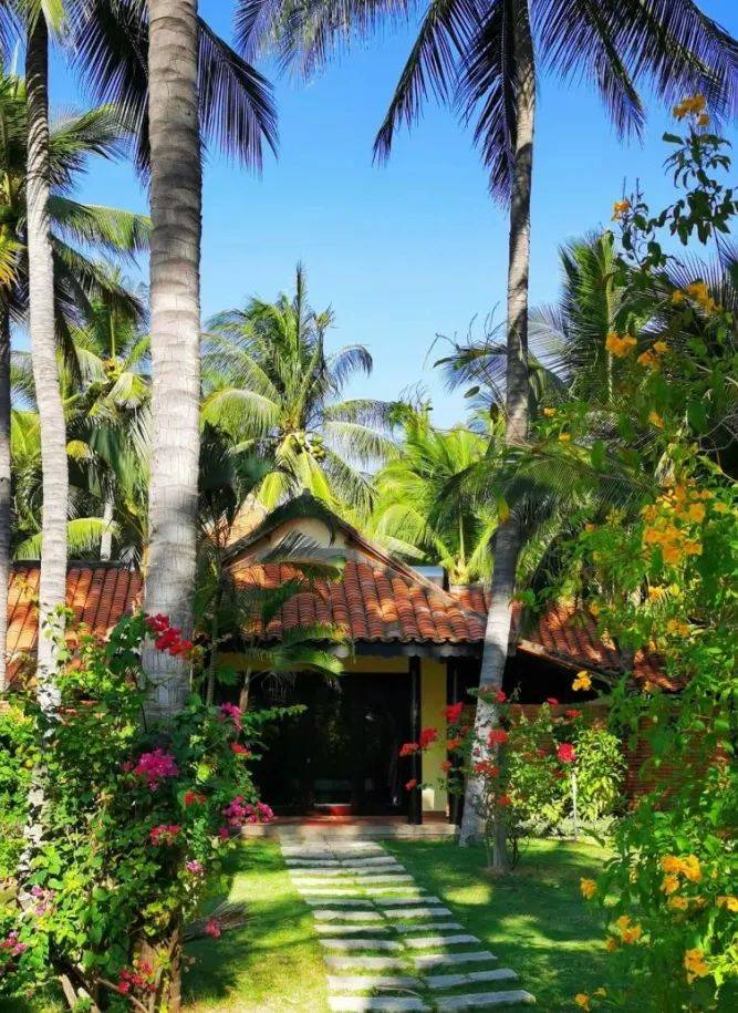 芽庄攻略!全网最值懒人出海度假超全指南!_越南_海滩_行程