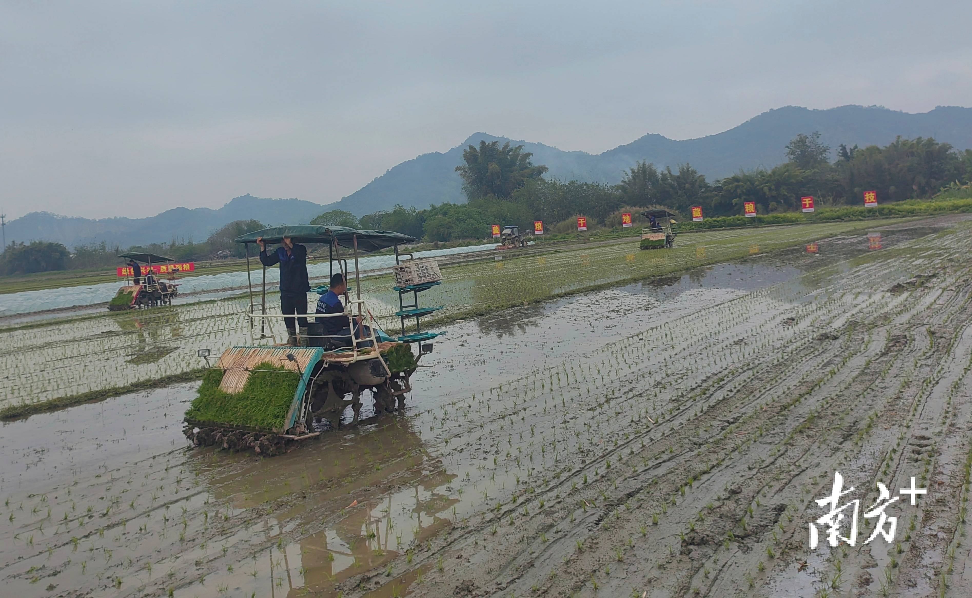 潮州纪检监察机关深入田间地头护春耕