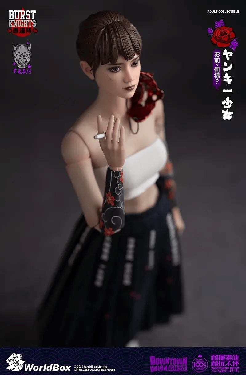 worldbox新品16不良少女热血不羁的青春