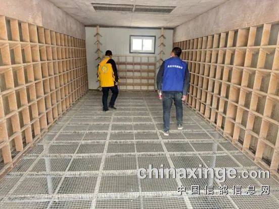 鸽讯大风沙尘天今天宁夏春棚三万多羽同日接受检阅