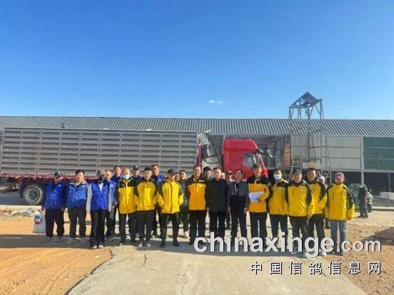 鸽讯大风沙尘天今天宁夏春棚三万多羽同日接受检阅