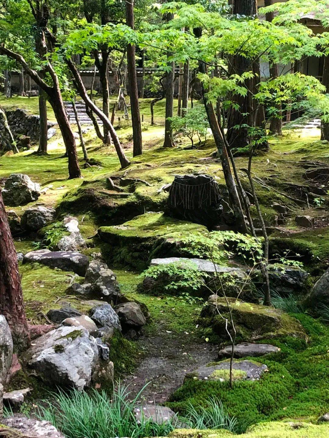 日本西芳寺图片