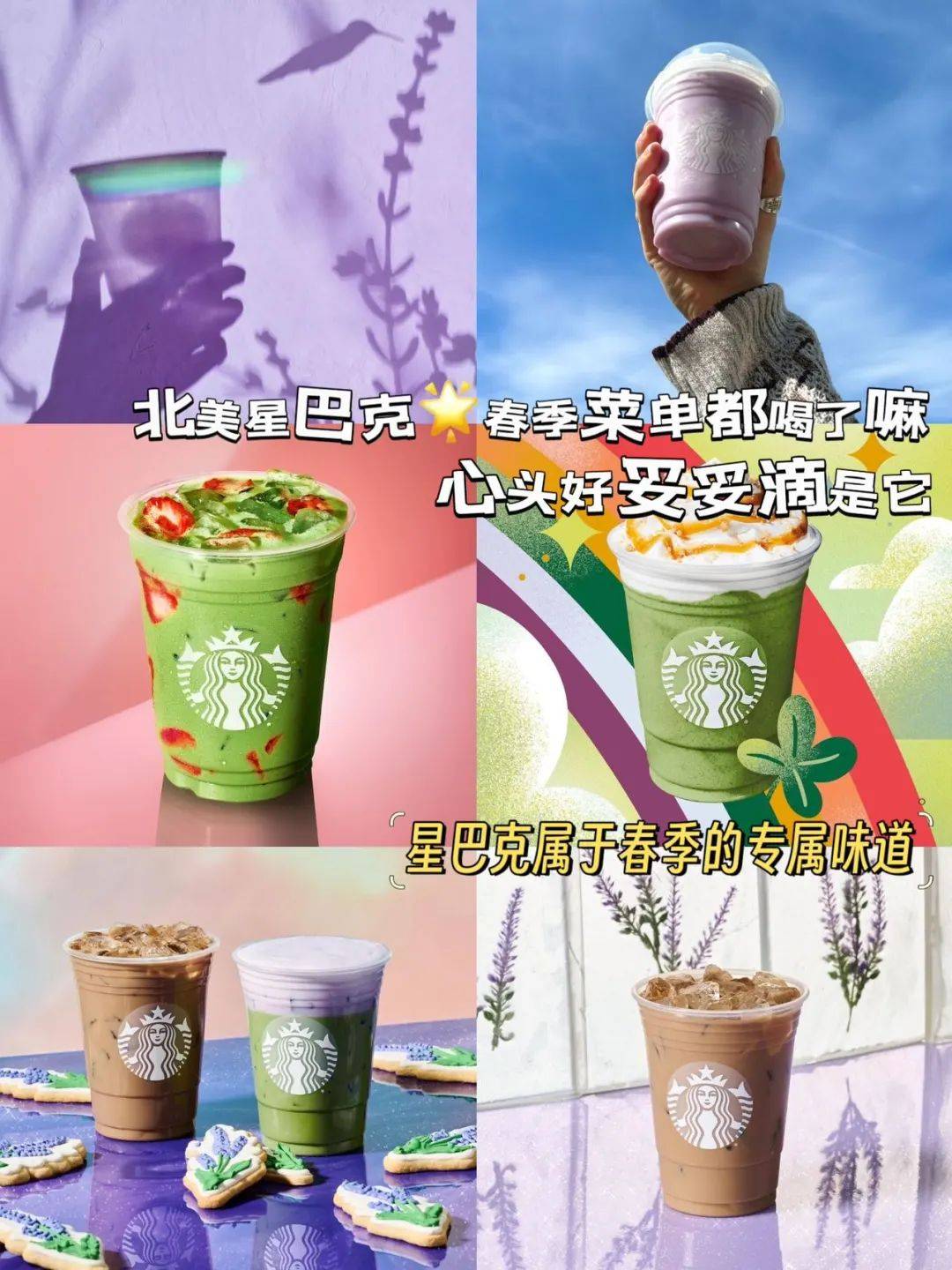 星巴克春日新品来啦_薰衣草_抹茶_北美