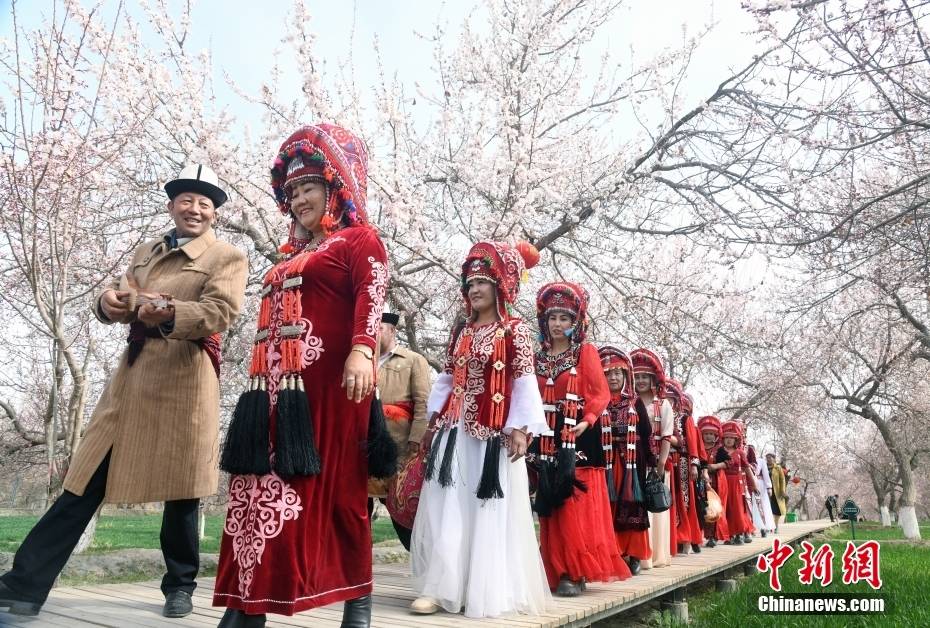 新疆克州昆仑大峡谷第二届杏花节开幕