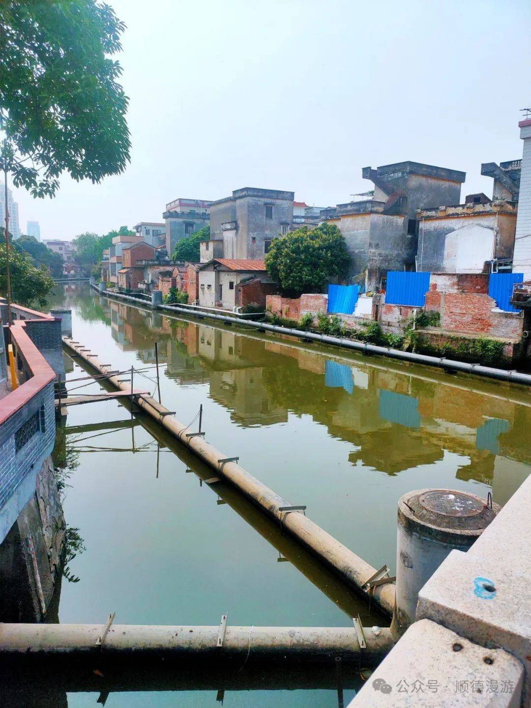 大良河新滘段治水清污见成效