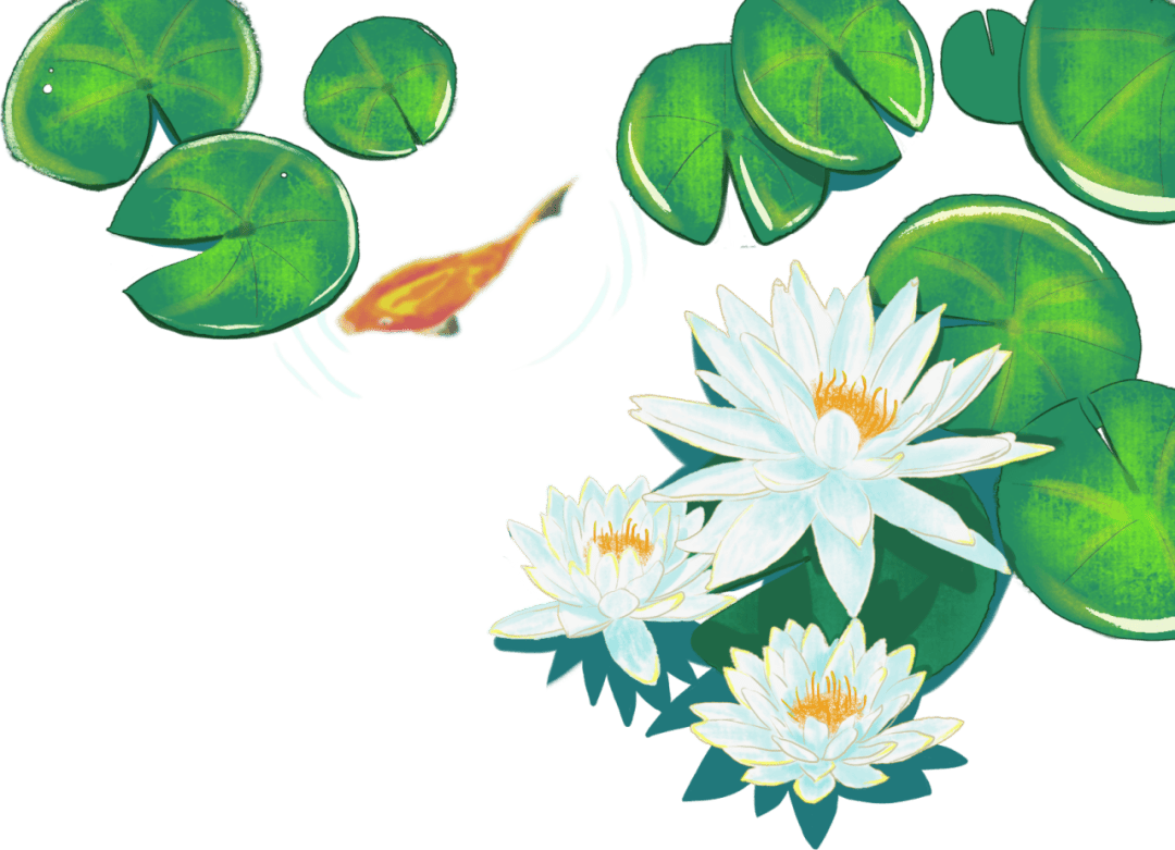 "植"此新荷,向美而行——东城小学第三届校花认植活动_种植_荷花_师生