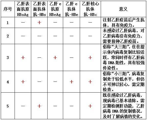 乙肝病毒DNA对照表图片