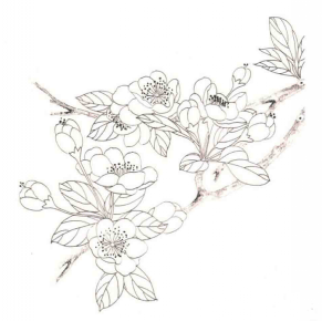 教程工笔花卉技法