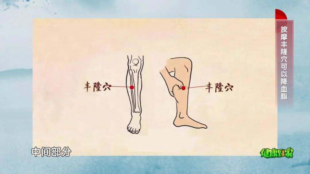 餐桌上的天然他汀隔三差五来一点降脂开胃给血管减负担斑块也绕道走