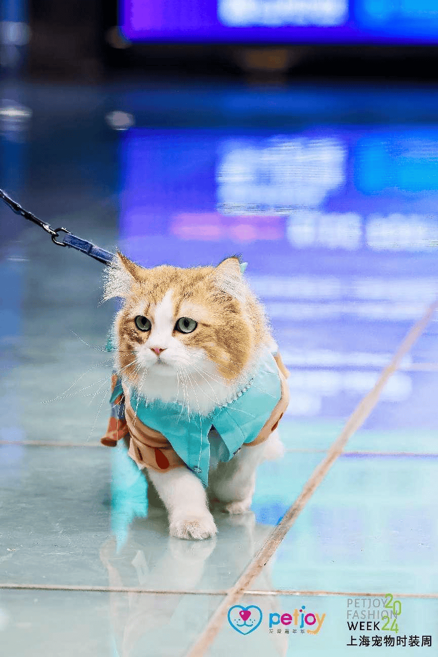 这奶凶的小表情,好拽,我好爱!中分 墨镜的古早霸总它来了它来了!