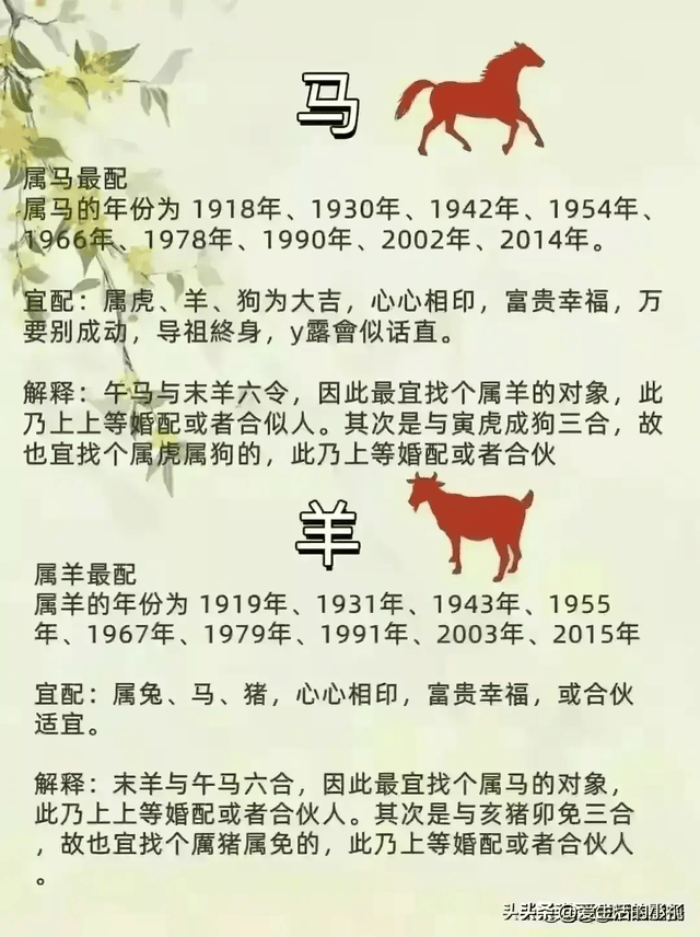 终于有人把十二生肖夫妻配对整理出来了看完涨知识了