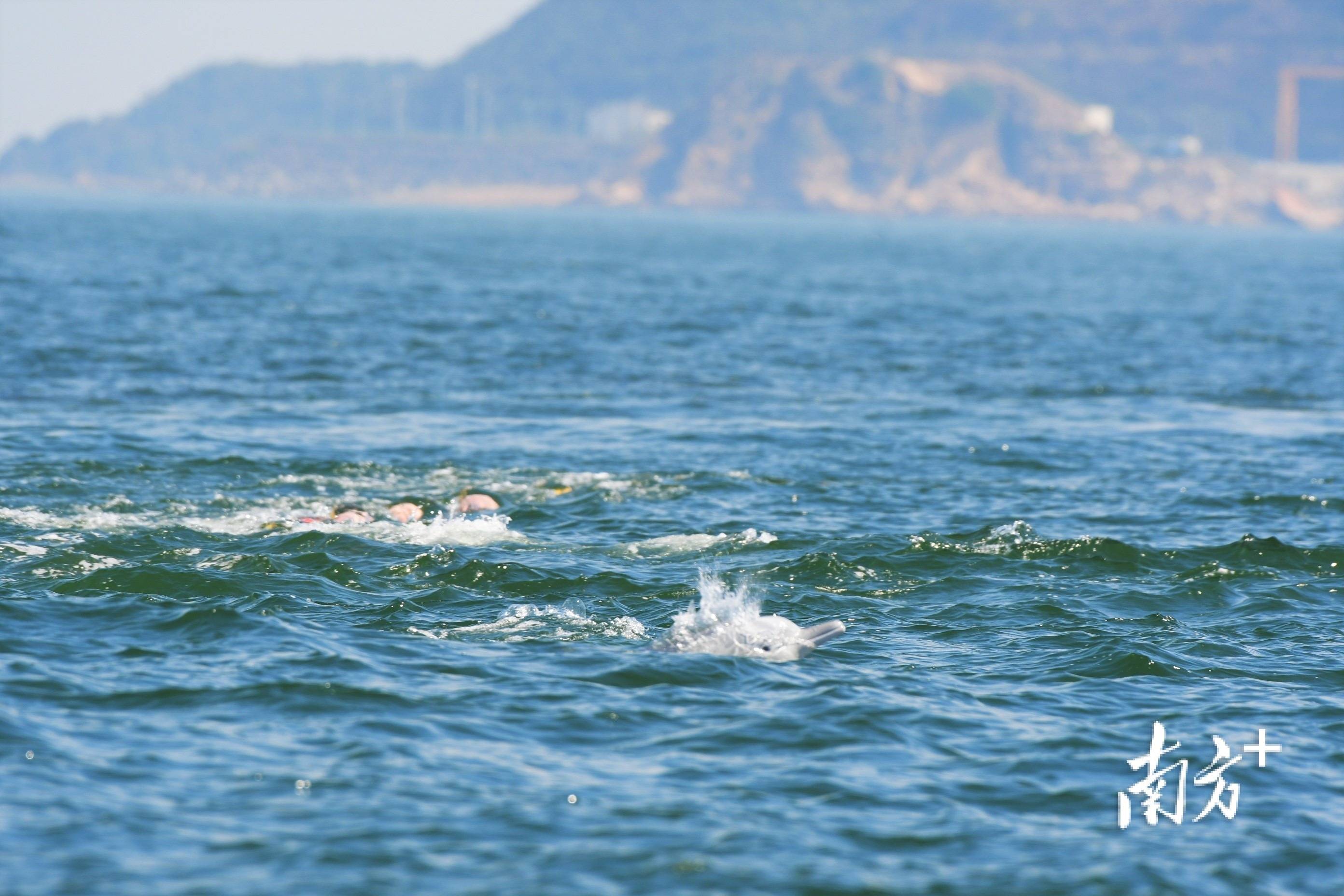 大同河与端芬河汇合处的海口埠是百多年前台山人走向世界的起点,汀江