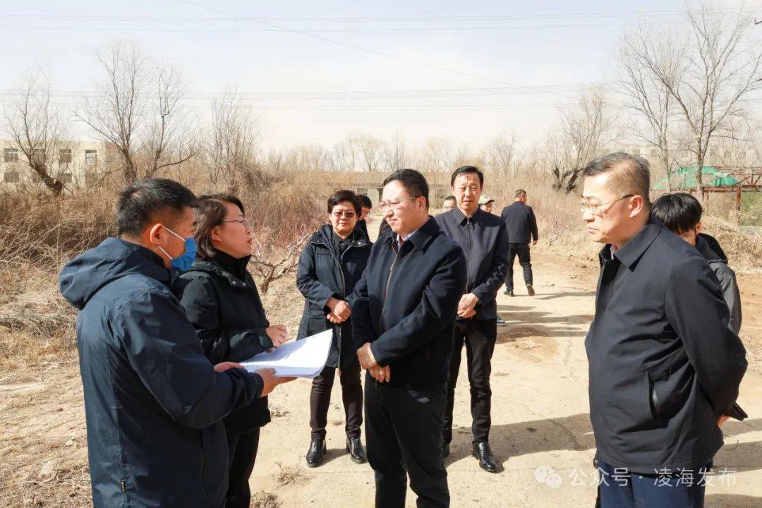 牢记嘱托显担当攻坚之年谱新篇王心宇来我市调研重点开复工项目建设