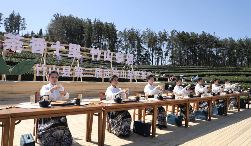 山茶"开采节暨茶旅系列活动新闻发布会在上庸镇大泉山生态茶园举行