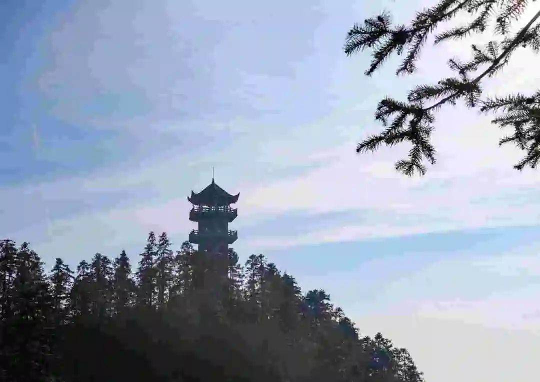 春来踏青古丈高望界山高有好景