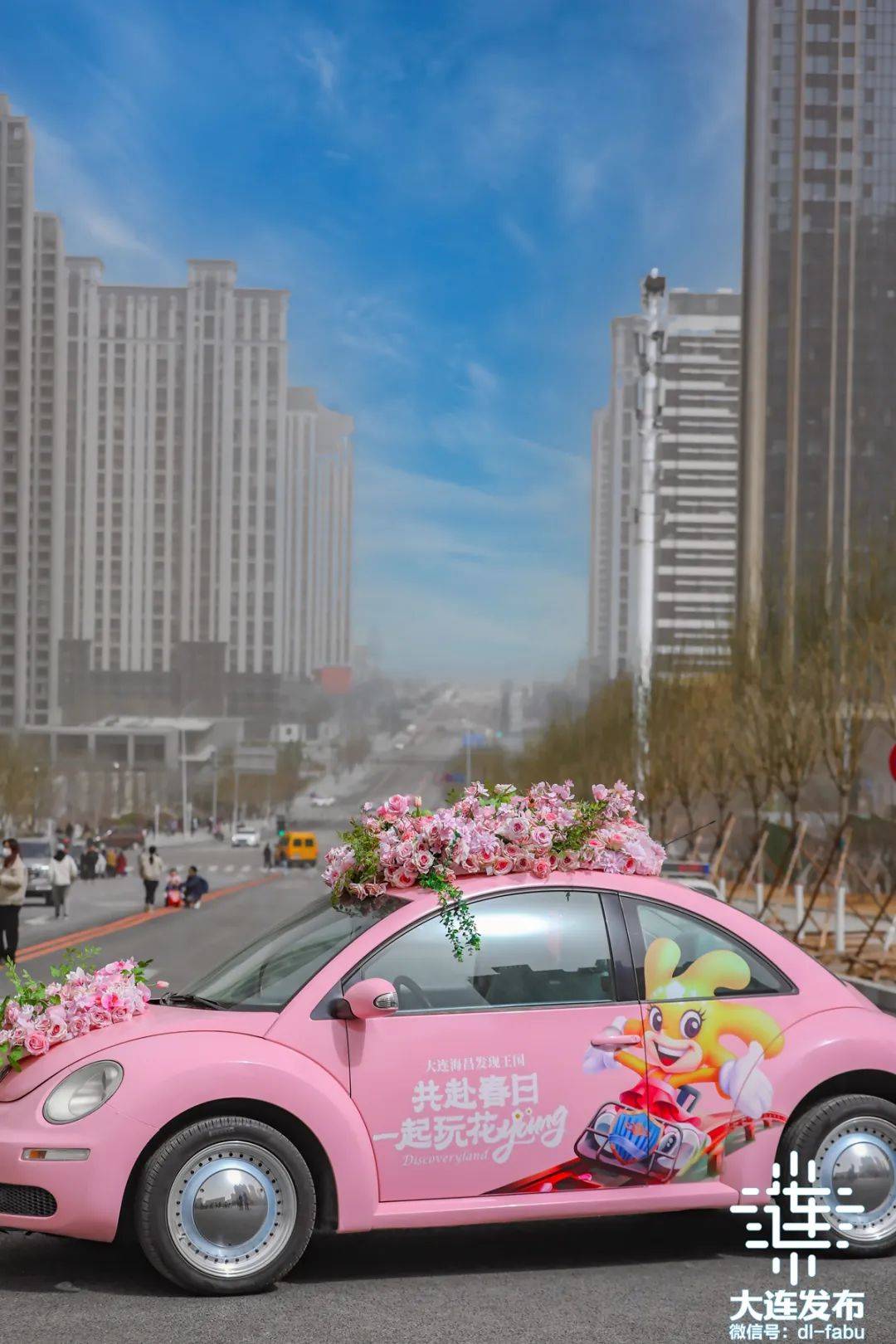 来都来了就在大连港东五街附近宝藏风景尽收眼底