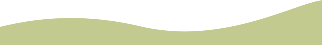 拥抱阳光润心前行绍兴市稽山中学2024年心理健康月系列活动报道二