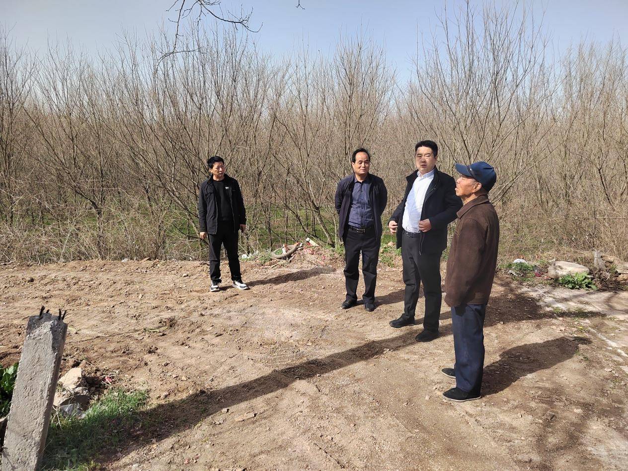 扶风县杏林镇多措并举 助推项目建设提质增效