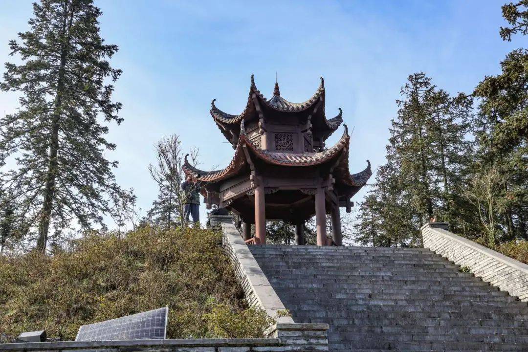 春来踏青古丈高望界山高有好景