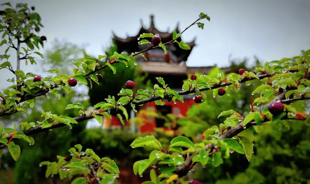 山与桃花相映红崆峒山的美景等你来发现