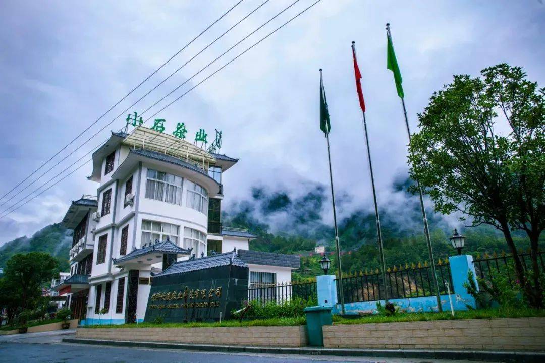 当镇坪山水遇上网红城市镇坪文旅推介走进重庆