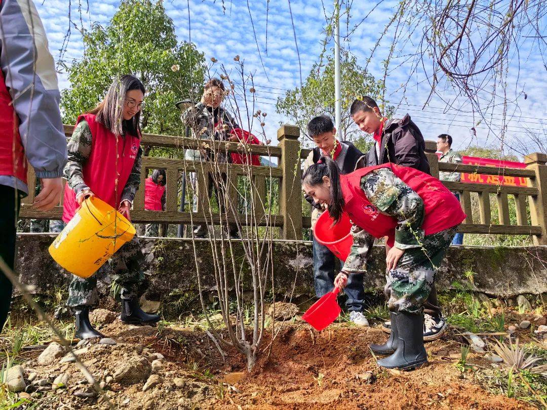 长兴岛郊野公园植树图片