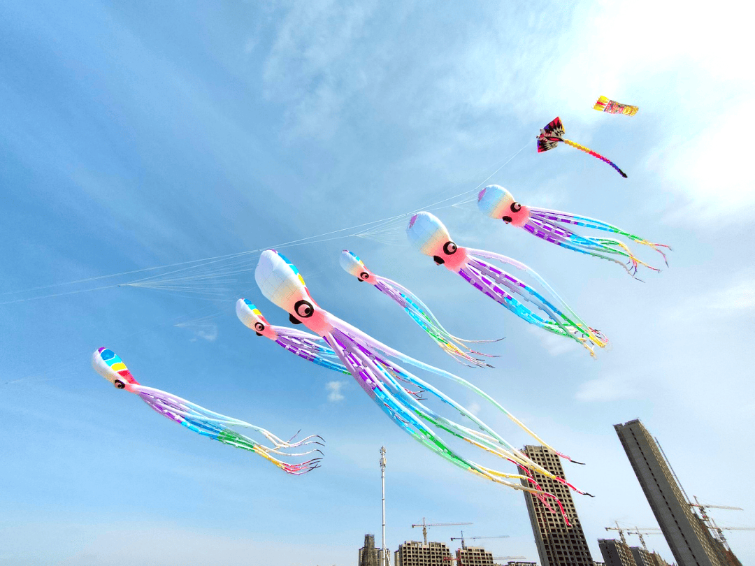 现场令人震撼的一幕,数十个从十余米到百米不等的巨型串式风筝在春风